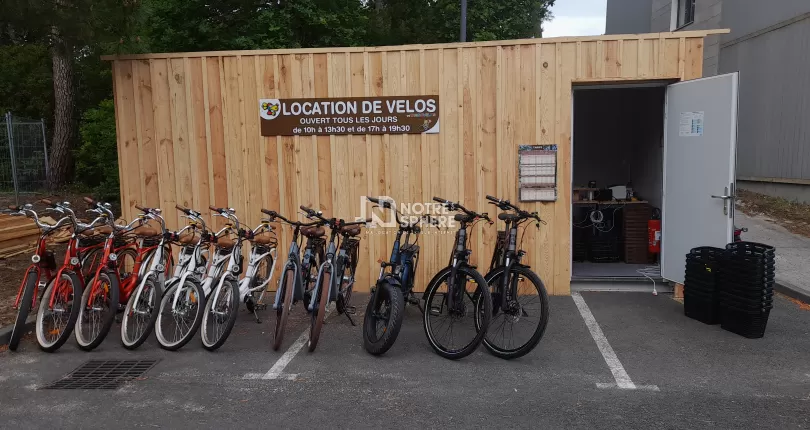 Photo du magasin Dingo Vélos Thalazur à Arcachon